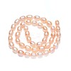 Natural Cultured Freshwater Pearl Beads Strands PEAR-N012-06F-2