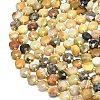 Natural Flower Amazonite Beads Strands G-C116-A72-02-3