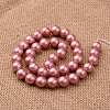 Polished Round Grade A Shell Pearl Bead Strands BSHE-M027-6mm-13-2