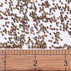 MIYUKI Delica Beads SEED-J020-DB0287-4