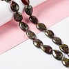 Natural Dragon Blood Beads Strands G-L242-12-2