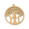 304 Stainless Steel Pendants STAS-V016-06G-1
