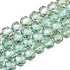Baking Paint Transparent Glass Beads Strands DGLA-A035-T8mm-A11-1