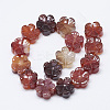 Carved Natural Carnelian Beads Strands G-T122-08E-2