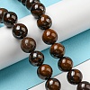 Natural Yellow Tiger Iron Beads Strands G-C079-A03-03-2