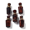 Dyed & Heated Natural Red Tiger Eye Perfume Bottle Pendants G-A026-16B-01-1