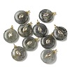 Natural Labradorite Pendants G-H328-08G-B18-1