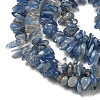 Natural Kyanite Chip Beads Strands G-G905-14-4