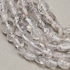 Natural Biotite Beads Strands GG-CBAC61B-B02-02-B-3