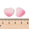 Imitation Candy Food Style Resin Cabochons RESI-R461-01G-3
