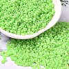 Baking Paint Glass Seed Beads SEED-P006-03A-35-1