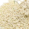 TOHO 11/0 Round Beads SEED-XTR11-0123L-1