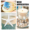Natural Shell & Starfish Resin Cabochons Decorations SHEL-AR0001-13-7