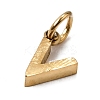 304 Stainless Steel Charms SA-CBABF3F-01G-V-2