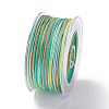 Segment Dyed Polyester Thread NWIR-I013-E-20-2