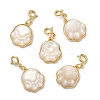 Natural White Shell Cat Paw Print Pendant Decorations AJEW-P108-13G-1