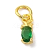 Rack Plating Brass Micro Pave Cubic Zirconia Charms KK-F881-03G-02-1