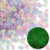 Luminous Transparent Acrylic Beads LACR-D009-01J-1