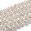 Natural Cultured Freshwater Pearl Beads Strands PEAR-N013-07C-4