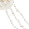 3 Strands Natural Freshwater Shell Beads Strands SHEL-NB0001-46-1