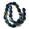 Natural Apatite Beads Strands G-Q026-A01-03-3