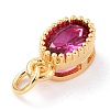 Real 18K Gold Plated Brass Inlaid Cubic Zirconia Charms ZIRC-L100-079G-03-4