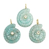 Natural Amazonite Pendants X-G-H353-02G-08-1