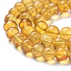 Natural Amber Beads Strands G-K308-C02-6mm-2