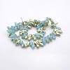 Half Plated Faceted Teardrop Electroplate Glass Pendants Beads Strands GLAA-A023A-HP05-2
