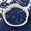 Baking Paint Glass Twist Bugle Beads SEED-C004-02N-2