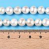 Natural Cultured Freshwater Pearl Beads Strands X-PEAR-N014-07J-5