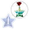 Star Display Holder Silicone Molds DIY-M045-09-1