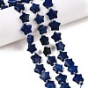 Dyed Natural Lapis Lazuli Dyed Beads Strands G-T138-190-1