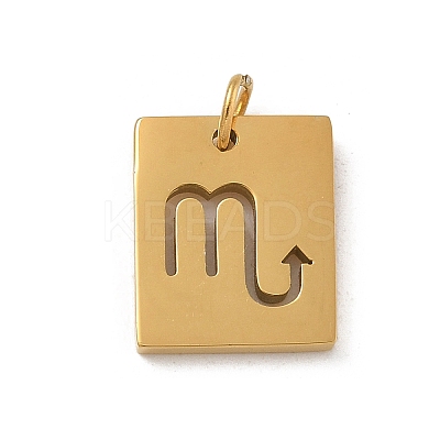 304 Stainless Steel Charms LS-STAS-R001-03G-08-1