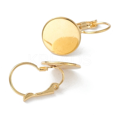 304 Stainless Steel Leverback Earring Findings LS-X-KK-H152-08B-G-1