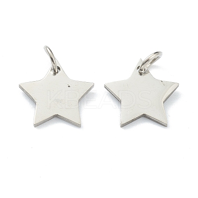 Tarnish Resistant (Defective Closeout Sale: Scratches)304 Stainless Steel Charms STAS-XCP0001-34-1
