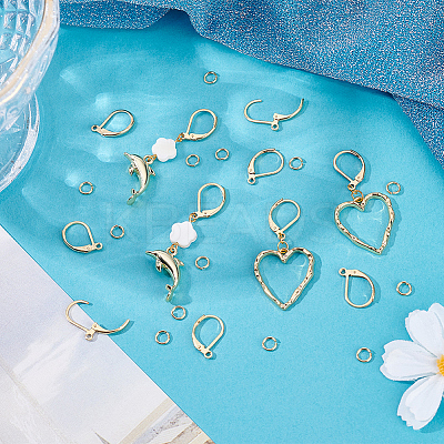 30Pcs 304 Stainless Steel Leverback Earring Findings STAS-BBC0009-22-1