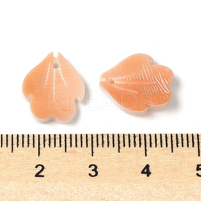 Natural Sea Shell Carved Leaf Charms SSHEL-C013-02C-1