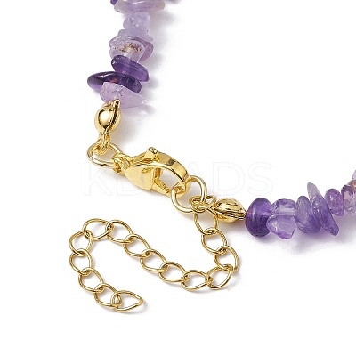 Natural Amethyst Chip Beaded Necklace NJEW-JN04616-06-1