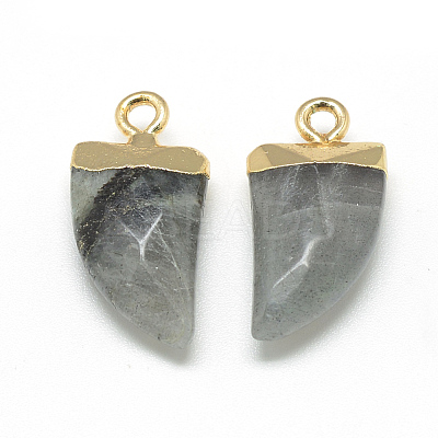 Natural Labradorite Pointed Pendants X-G-Q966-02-1