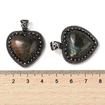 Natural Labradorite Pendants G-A095-01AS-01-1