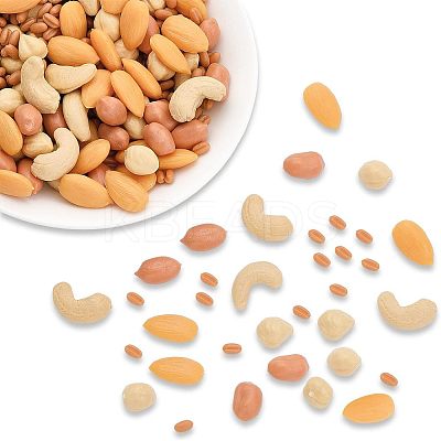 150G 5 Style Opaque Resin Imitation Nuts Ornaments RESI-CA0001-43-1