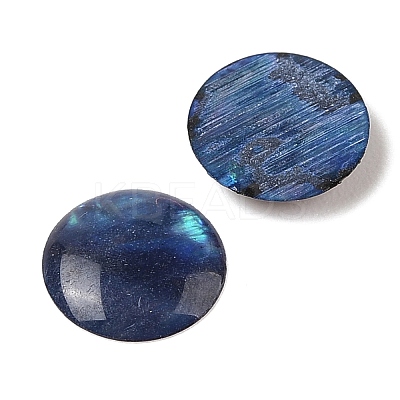 Natural Abalone Shell/Paua Shell Resin Cabochons X-SSHEL-K003-10MM-03-1