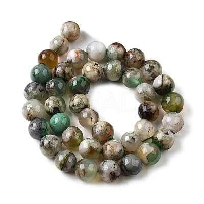 Natural Green Cherry Blossom Agate Beads Strands G-NH0061-A01-10mm-1