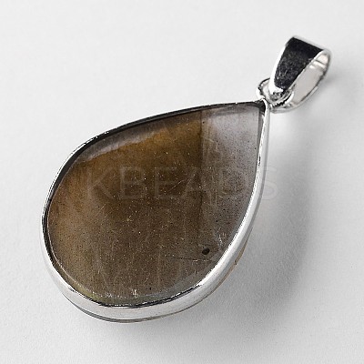 Natural Labradorite Teardrop Pendants G-L350-03-1