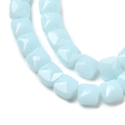 Opaque Glass Beads Strands GLAA-L050-C14-1