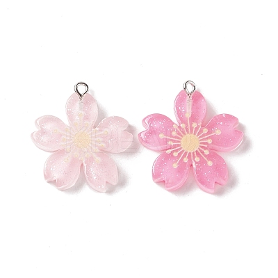 Transparent Resin Pendants RESI-G046-07P-1