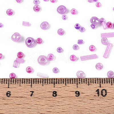 Mixed Electroplate and Non-electroplating Glass Seed Beads GLAA-SZC0007-02A-1