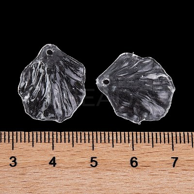 Transparent Acrylic Pendants TACR-G050-03B-1