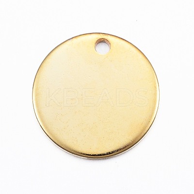 304 Stainless Steel Charms STAS-G137-09G-1